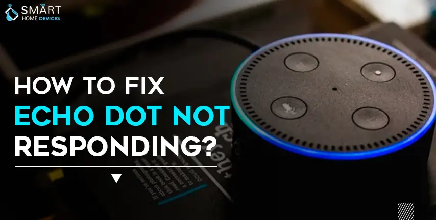 How to Fix Dot not Responding? Smart Home