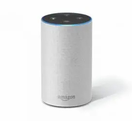 Alexa DoesnÃ¢â‚¬â„¢t Understand Me