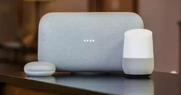 Google Home vs. Amazon Echo 2025