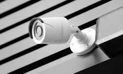 Goowls Camera Offline Issue