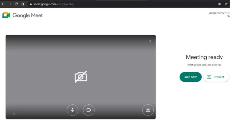 Google Meet Camera Not Working Issues