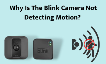 Blink Camera Not Detecting Motion