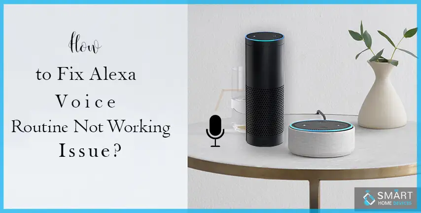 How to Fix Alexa Voice Routine not Working Issue?