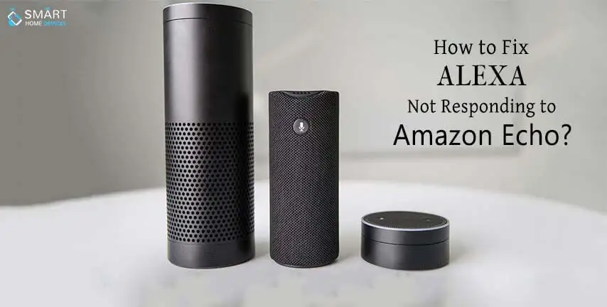 How to Fix Alexa not Responding to Amazon Echo?