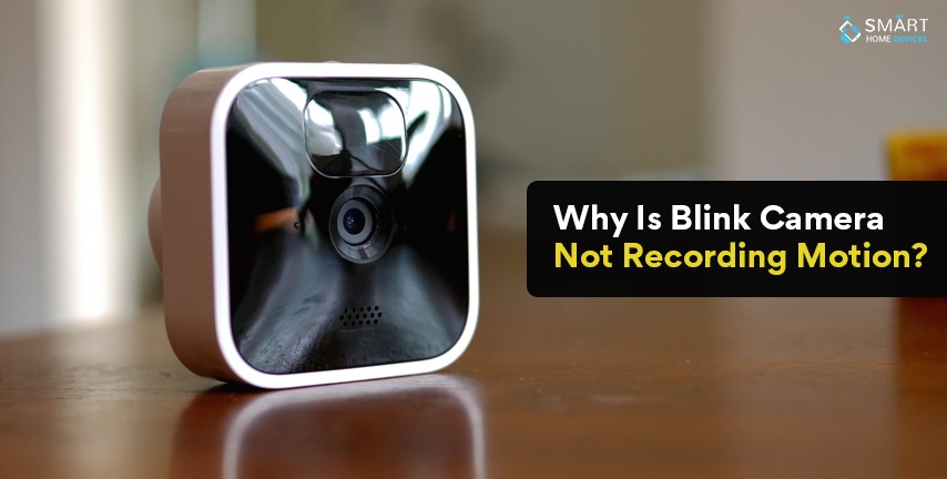 Why Is Blink Camera Not Recording Motion?